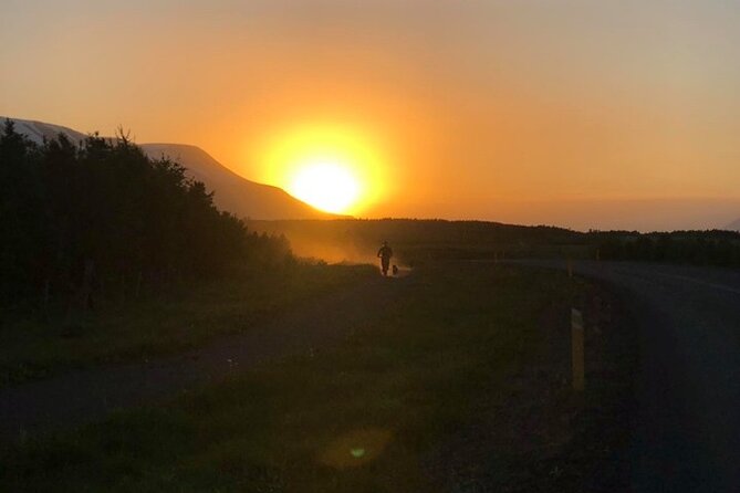 Hiking with Husky in Akureyri - Handling the dogs, especially with children