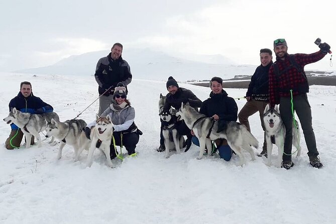 Hiking with Husky in Akureyri - Timing, cancellation, and practical details