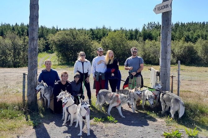 Hiking with Husky in Akureyri (private) - Coffee, photographs, and time inside the home