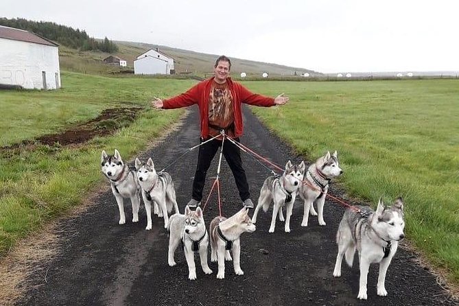 Hiking with Husky in Akureyri (private) - Timing, pickup, and weather planning