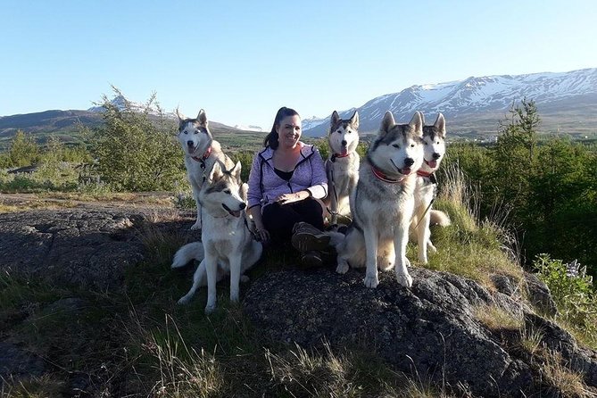 Hiking with Husky in Akureyri (private) - Is $1,105.35 a fair price?