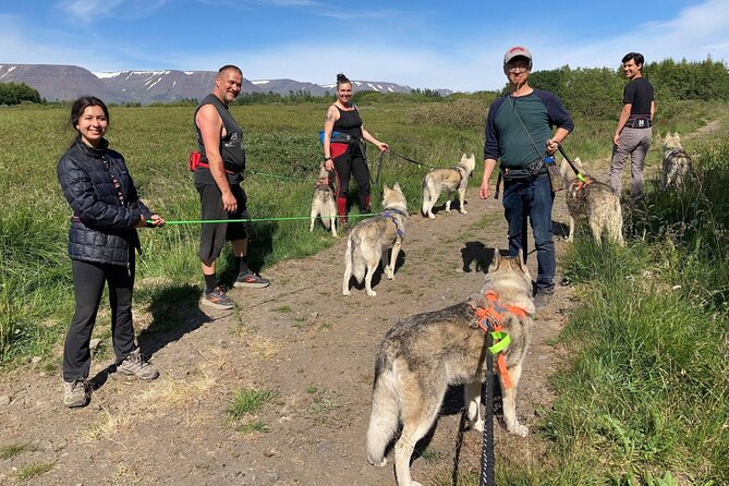 Hiking with Husky in Akureyri (private) - The walk through woodland, shore, and countryside