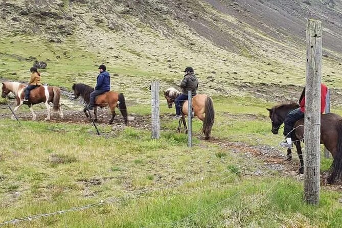 Horse Riding Tour in Reykjadalur (Smoky Valley)-All Riding Levels - The first miles are slow and steady