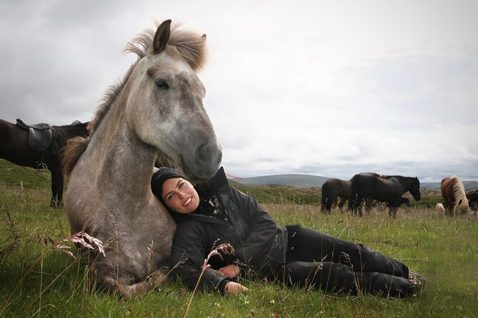 Horseback Riding Tour in Iceland - A warm welcome before and after the ride