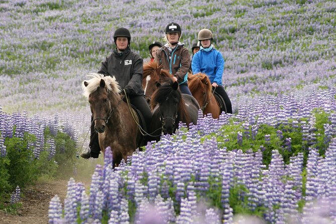 Horseback Riding Tour in Iceland - Weather, clothing, and the cancellation rule