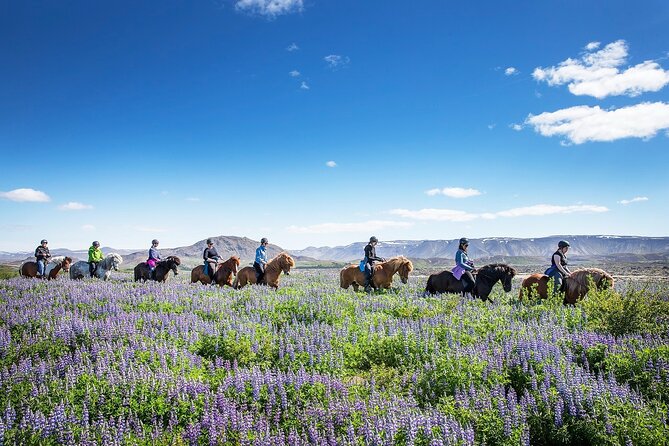 Horseback Riding Tour in Iceland - Who should book this horseback ride?