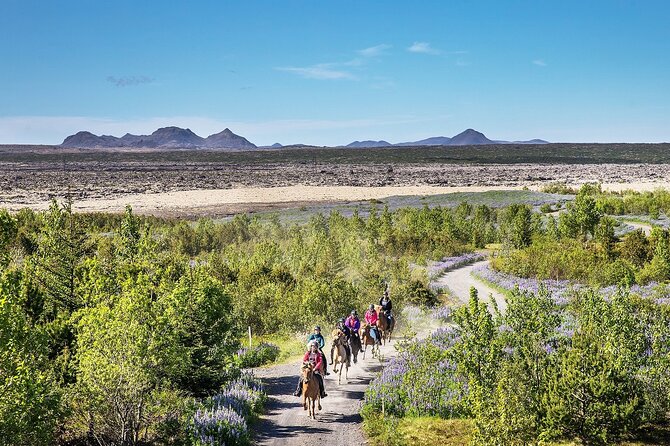 Horseback Riding Tour in Iceland - Following the mossy lava-field route