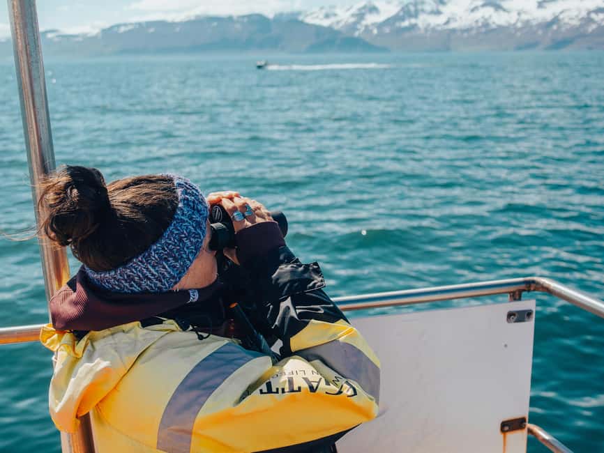 Húsavík: Family-Run and Guided Whale Watching Tour - Who will enjoy this Húsavík whale watch?