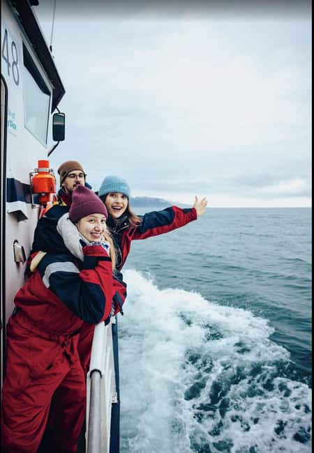 Húsavík: Family-Run and Guided Whale Watching Tour - Looking for humpback and minke whales