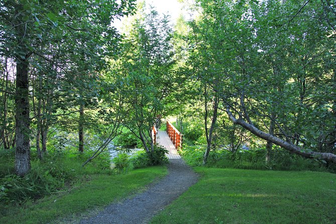 Húsavík walking tour - Wooden bridges, gardens, and photo stops