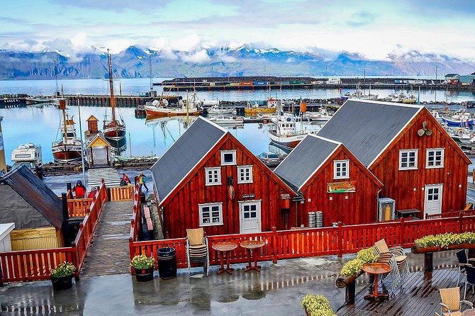 Húsavík walking tour - Who should book this walk?