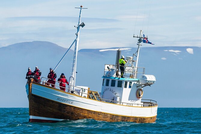 Húsavík Whale Watching Tour, family owned and operated - Key points before you book