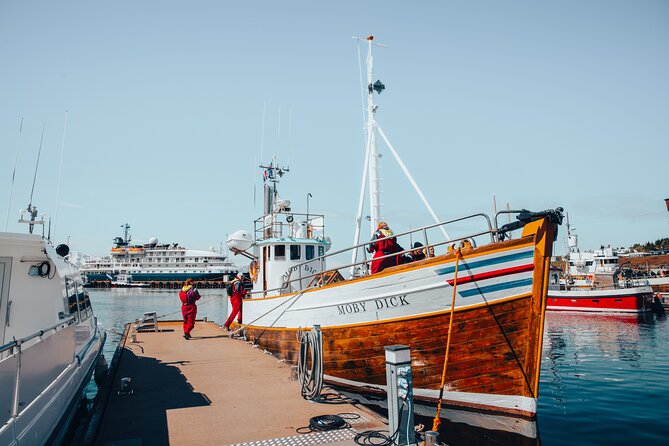 Húsavík Whale Watching Tour, family owned and operated - Húsavík, not Akureyri: the detail that matters most