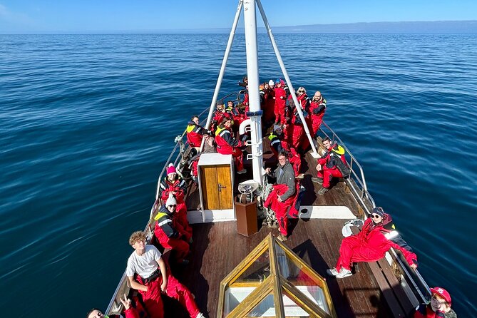 Húsavík Whale Watching Tour, family owned and operated - Price and what you receive for about $103