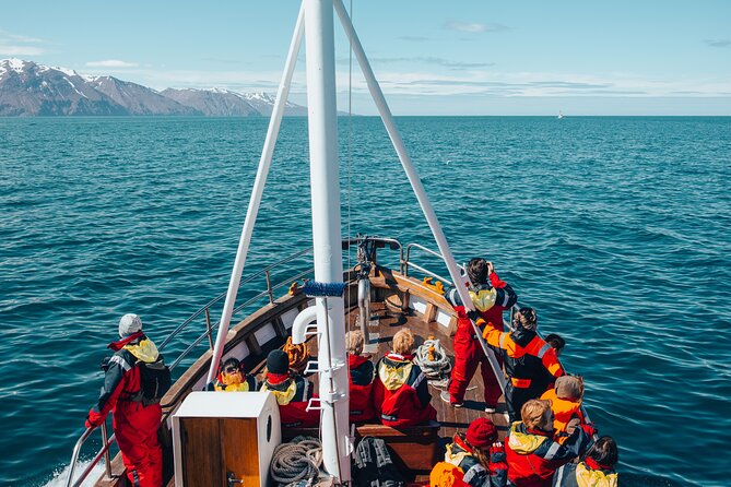 Húsavík Whale Watching Tour, family owned and operated - Boarding Moby Dick for a three-hour search