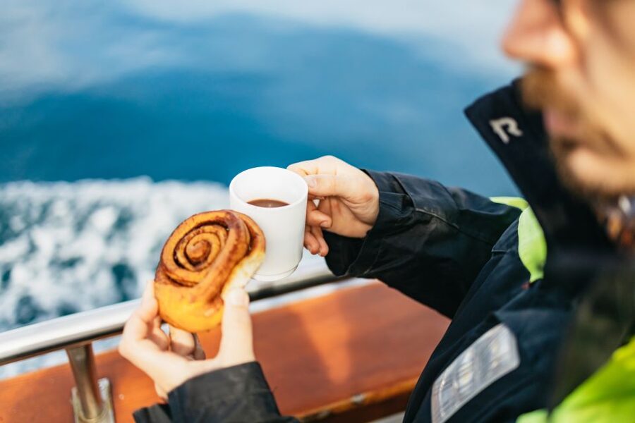Húsavík: Whale Watching Tour with Guide - Weather, access, and practical planning
