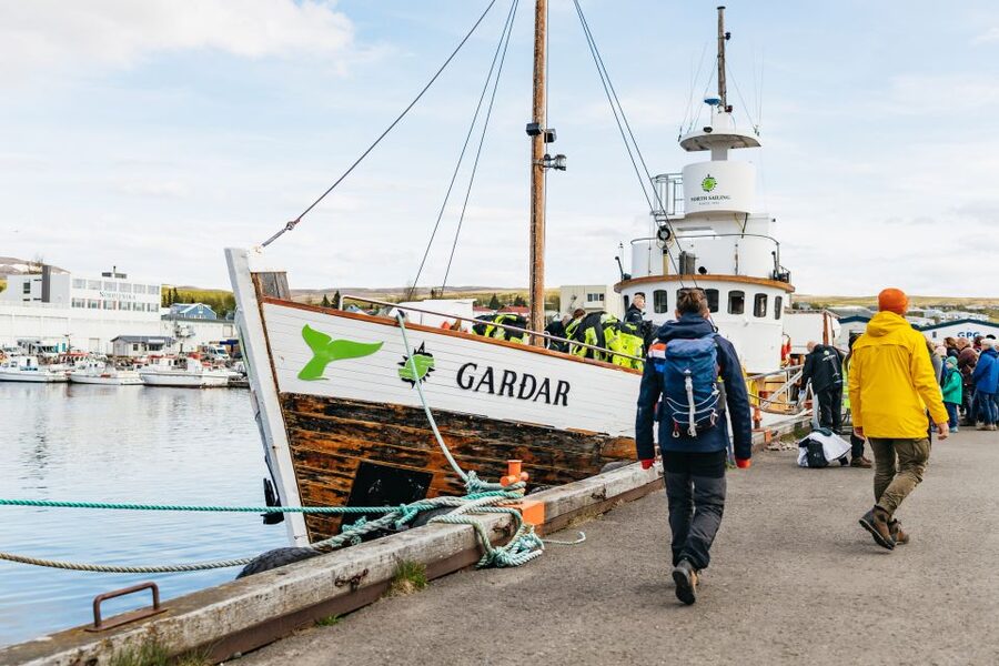 Húsavík: Whale Watching Tour with Guide - How close do the whales get?