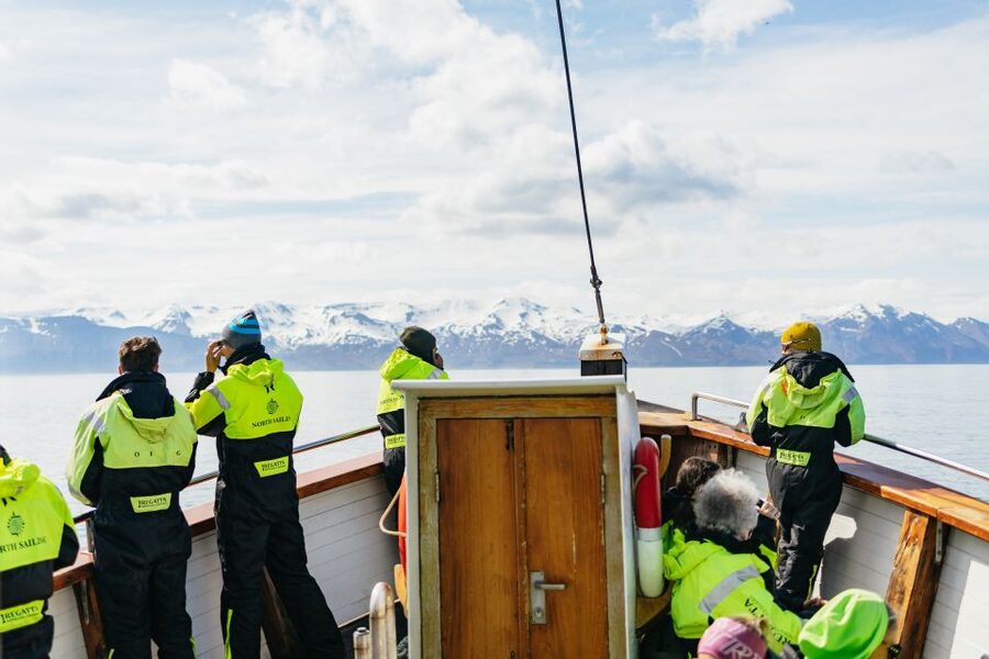 Húsavík: Whale Watching Tour with Guide - The return trip, hot chocolate, and cinnamon bun