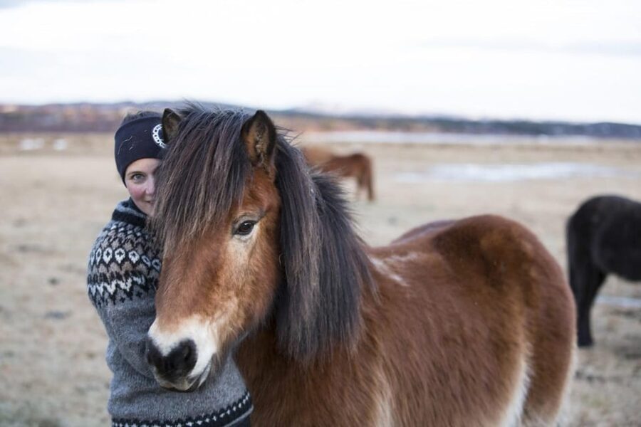 Hveragerdi: Countryside Charm Horse Riding Tour - How this fits into a South Iceland day