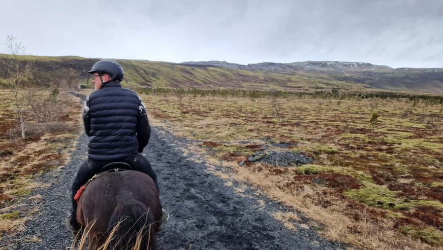 Hveragerði: Horseback Riding Tour for Beginners and … - Meeting Icelandic horses near Hveragerði