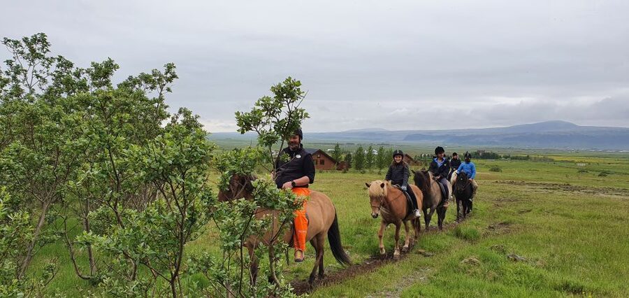 Hveragerdi: Reykjadalur (Hotspring Valley) Horse Riding Tour - A Good First Ride for Beginners