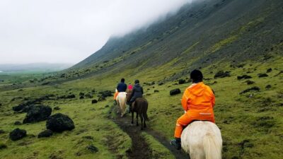 Reykjadalur (Hotspring Valley) Horse Riding Tour