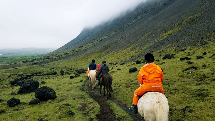 Hveragerdi: Reykjadalur (Hotspring Valley) Horse Riding Tour - The Icelandic Horse and the Tölt