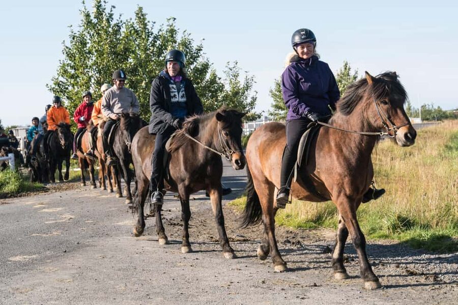 Hveragerdi: The Siggi Horse Riding Tour - Key points to know before you book