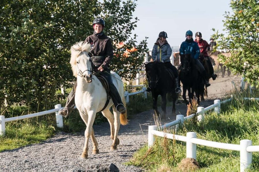Hveragerdi: The Siggi Horse Riding Tour - Crossing the Varmá River and lava fields