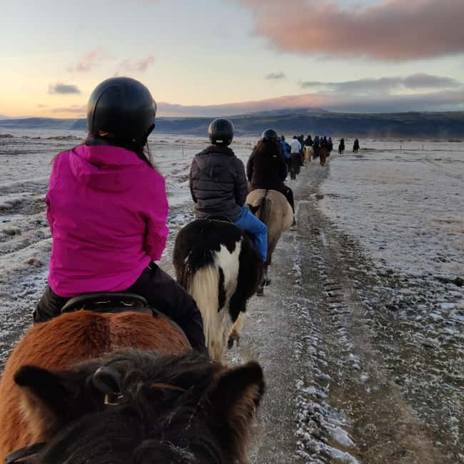 Hveragerdi: The Siggi Horse Riding Tour - Meadows, farms, and volcanic mountain views