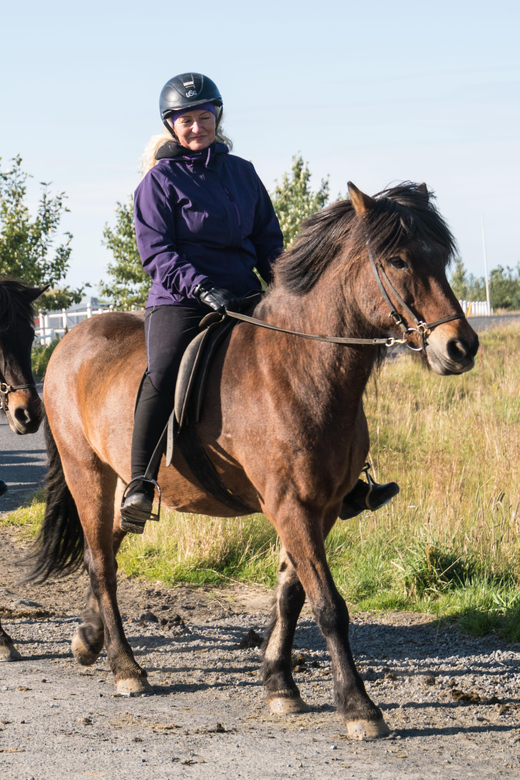 Hveragerdi: The Siggi Horse Riding Tour - Clothing, equipment, and what you can carry