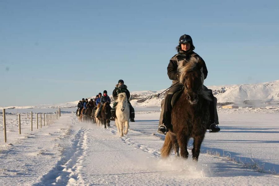 Hveragerdi: The Siggi Horse Riding Tour - Practical booking advice for Reykjavík pickup
