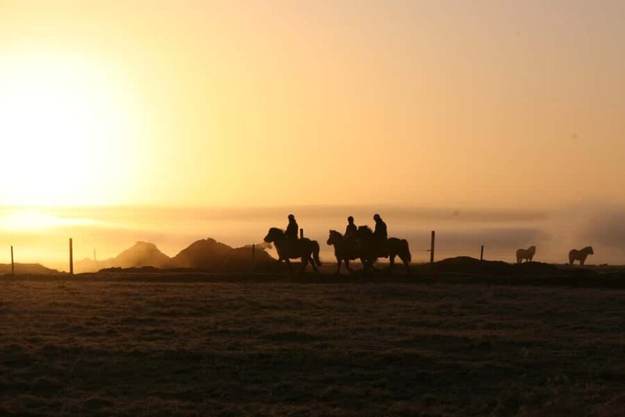 Hveragerdi: The Siggi Horse Riding Tour - From Reykjavík to the farm near Ölfus