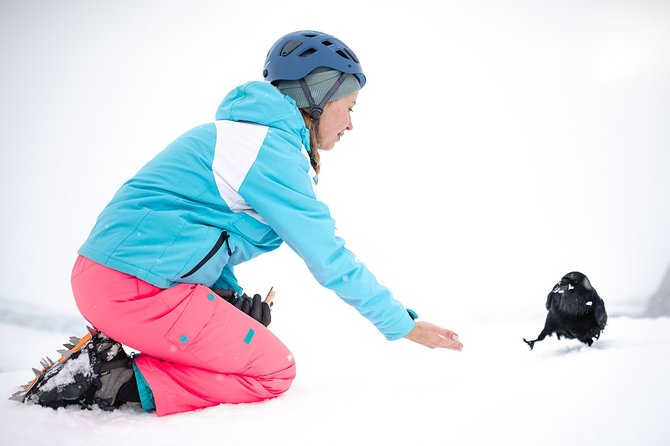 Ice Cave Captured - Professional Photos Included - Making the most of the photography