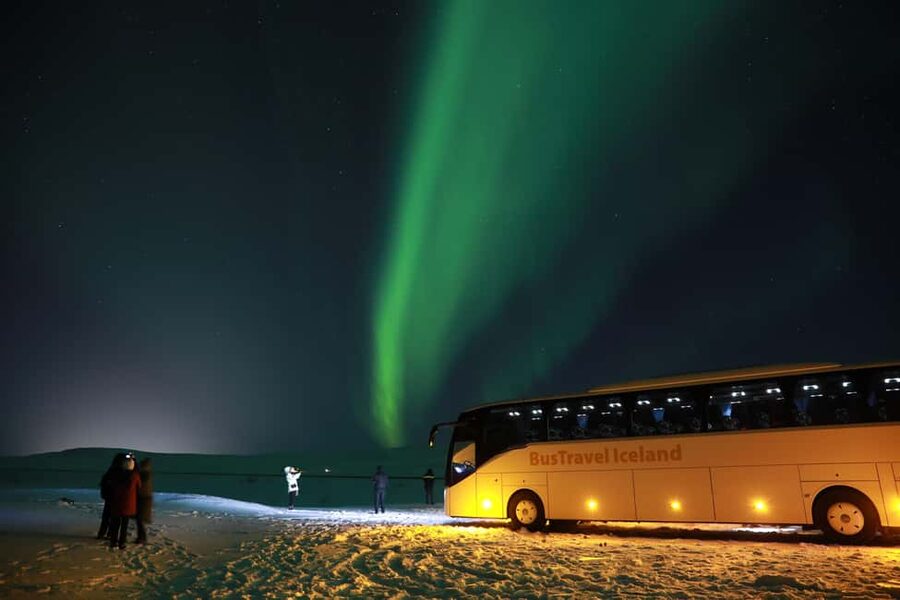 Iceland: Northern Lights Bus Tour from Reykjavik - What your guide adds to the night