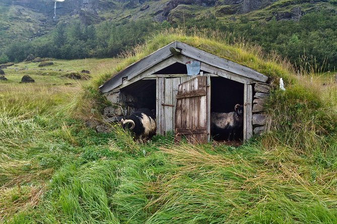 Iceland's south coast G spots - What the four-person limit really buys you