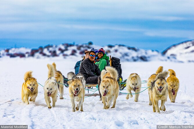Iceland: See & Experience it ALL in 9 Days, 1st Class Custom Tours - Day 5: The south coast’s waterfalls and black sand