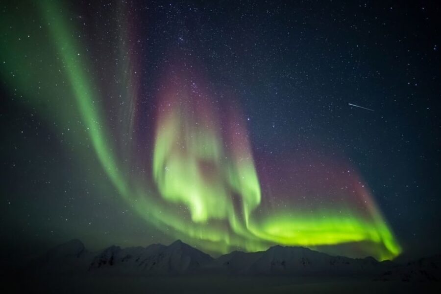 Iceland: South Coast and Northern Lights Tour - Vík, the southern coast’s small center