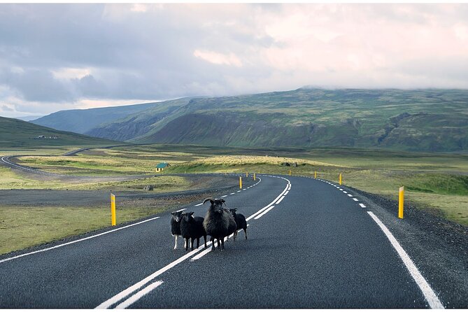 Iceland South Coast Tour with Pickup - Gljufrabui is a short walk with a different mood