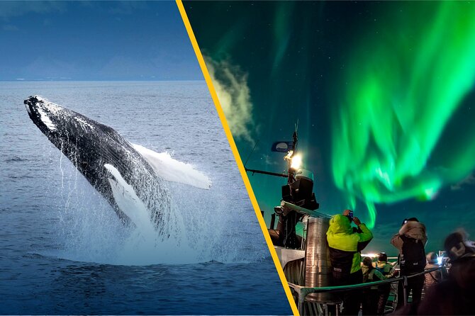 Iceland Super Saver: Northern Lights Cruise plus Whale-Watching Tour from Reykjavik - Rough water and seasickness deserve serious attention