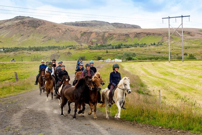 Icelandic Horse Riding and Whale Watching Cruise from Reykjavík - Morning ride through Hveragerði’s lava fields