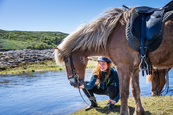 Icelandic Horse Riding and Whale Watching Tour from Reykjavik - Key points to know before you book