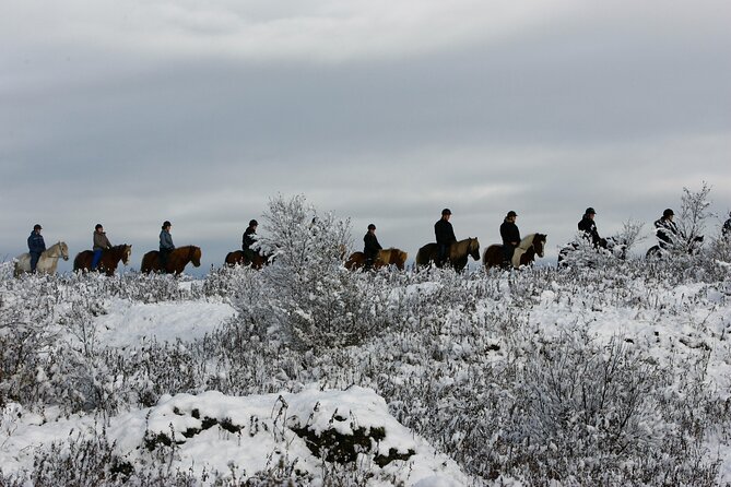 Icelandic Horse Riding and Whale Watching Tour from Reykjavik - Why this combo works so well in Iceland