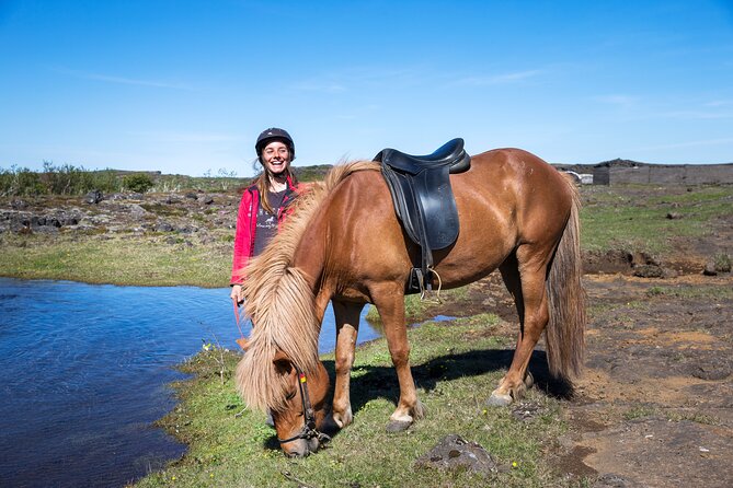 Icelandic Horse Riding and Whale Watching Tour from Reykjavik - Getting from the stable to Reykjavik Old Harbor