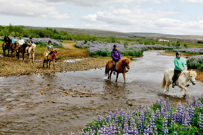 Icelandic Horseback Riding Tour Including Pick Up from Reykjavik - Getting fitted for an Icelandic horse