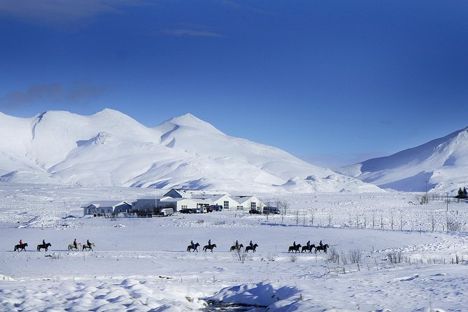 Icelandic Horseback Riding Tour Including Pick Up from Reykjavik - What the $152.37 price includes