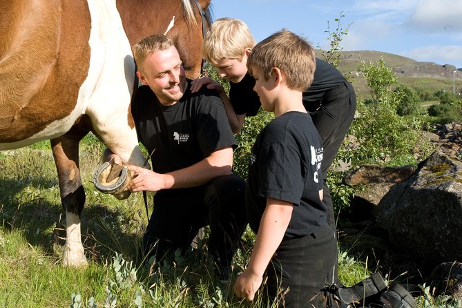 Icelandic Horseback Riding Tour Including Pick Up from Reykjavik - Group size, timing, and practical limits