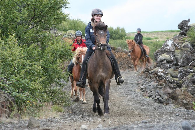 Icelandic Horseback Riding Tour with Pickup Option from Reykjavik - Key points to know before you book