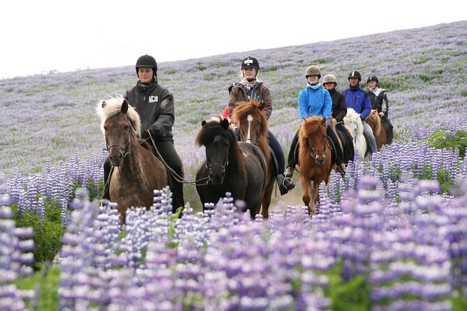 Icelandic Horseback Riding Tour with Pickup Option from Reykjavik - Coffee, tea, and hot chocolate at the stable