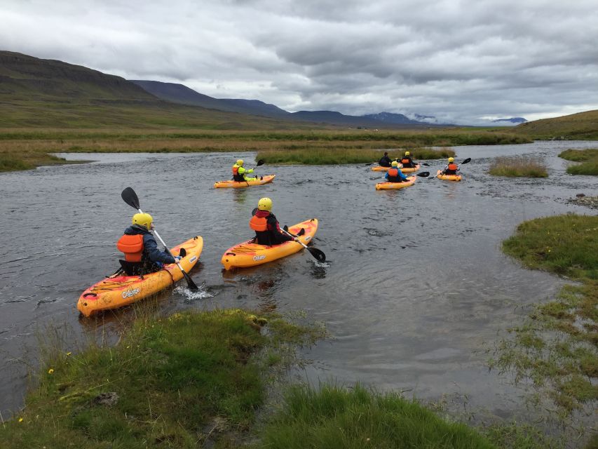 Icelandic Kayak Trip - Paddling through fjords and gentle currents